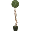 Kirkland's Home Twisted Trunk Boxwood Ball Topiary- Trees & Topiaries
