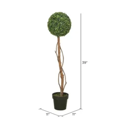 Kirkland's Home Twisted Trunk Boxwood Ball Topiary- Trees & Topiaries
