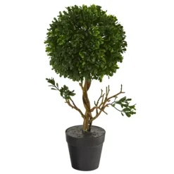 Kirkland's Home Uv-Safe Boxwood Topiary In Nursery Planter- Trees & Topiaries