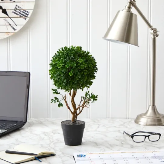 Kirkland's Home Uv-Safe Boxwood Topiary In Nursery Planter- Trees & Topiaries