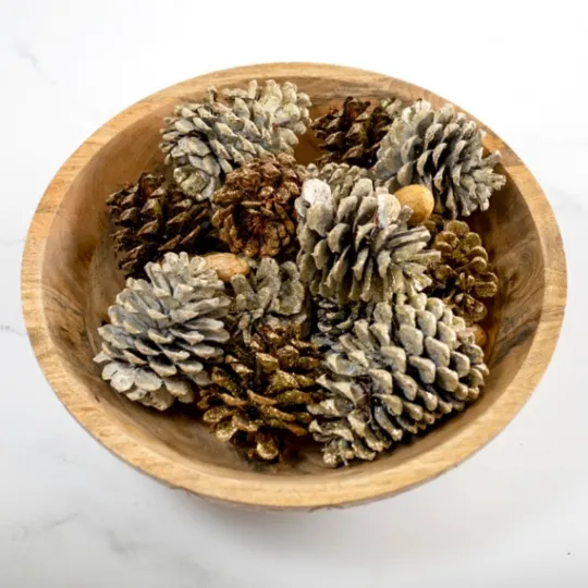 Kirkland's Home Vanilla Spice Pine Cone Potpourri- Bowl Filler