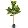 Kirkland's Home Variegated Rubber Tree In Black Pot, 4 Ft.- Trees & Topiaries
