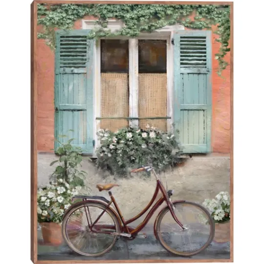 Kirkland's Home Velo De Montpellier Framed Canvas Art Print- Framed Art