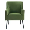 Kirkland's Home Velvet Upholstered Black Legs Accent Chair- Accent Chairs