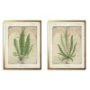 Kirkland's Home Vintage Green Ferns Framed Art Prints, Set Of 2- Framed Art