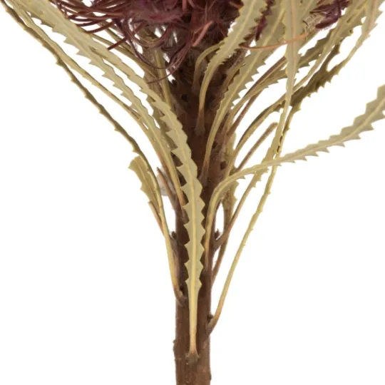 Kirkland's Home Violet Dried Jumbo Banksia Stems, Set Of 3- Stems & Bouquets