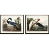 Kirkland's Home Water Birds Framed Art Prints, Set Of 2- Framed Art