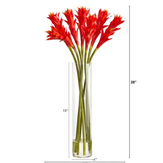 Kirkland's Home Watered Star Bromeliad Bouqet In Glass Vase- Arrangements & Greenery