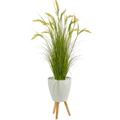 Kirkland's Home Wheat Grass In White Planter- Trees & Topiaries