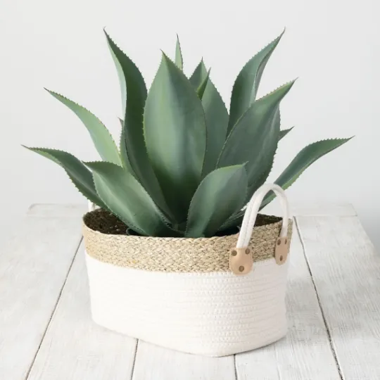 Kirkland's Home White And Natural Seagrass Woven Baskets, Set Of 3- Baskets & Boxes