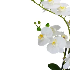Kirkland's Home White Orchid In Round Ceramic Bowl- Arrangements & Greenery