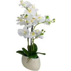 Kirkland's Home White Orchid In Round Ceramic Bowl- Arrangements & Greenery
