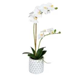 Kirkland's Home White Orchid Real Touch Arrangement In Ceramic Pot- Arrangements & Greenery