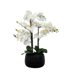 Kirkland's Home White Real Touch Orchid Arrangement In Black Pot- Arrangements & Greenery