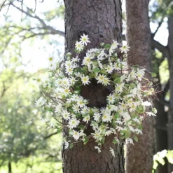 Kirkland's Home White Wild Daisies Wreath- Wreaths