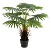 Kirkland's Home Wide Reach Tree Fern In Black Planter- Trees & Topiaries