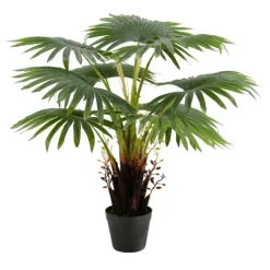 Kirkland's Home Wide Reach Tree Fern In Black Planter- Trees & Topiaries