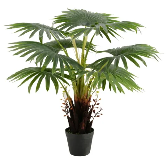 Kirkland's Home Wide Reach Tree Fern In Black Planter- Trees & Topiaries