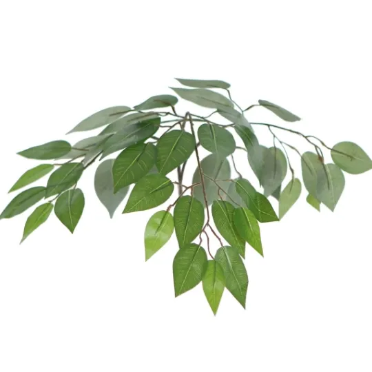 Kirkland's Home Wood Trunk Ficus Bush In Rattan Basket- Trees & Topiaries