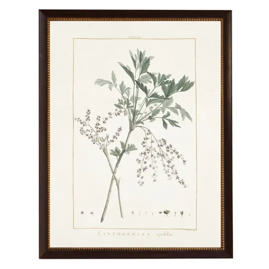 Kirkland's Home Zanthorhiza Greenery Black Beaded Framed Art Print- Framed Art